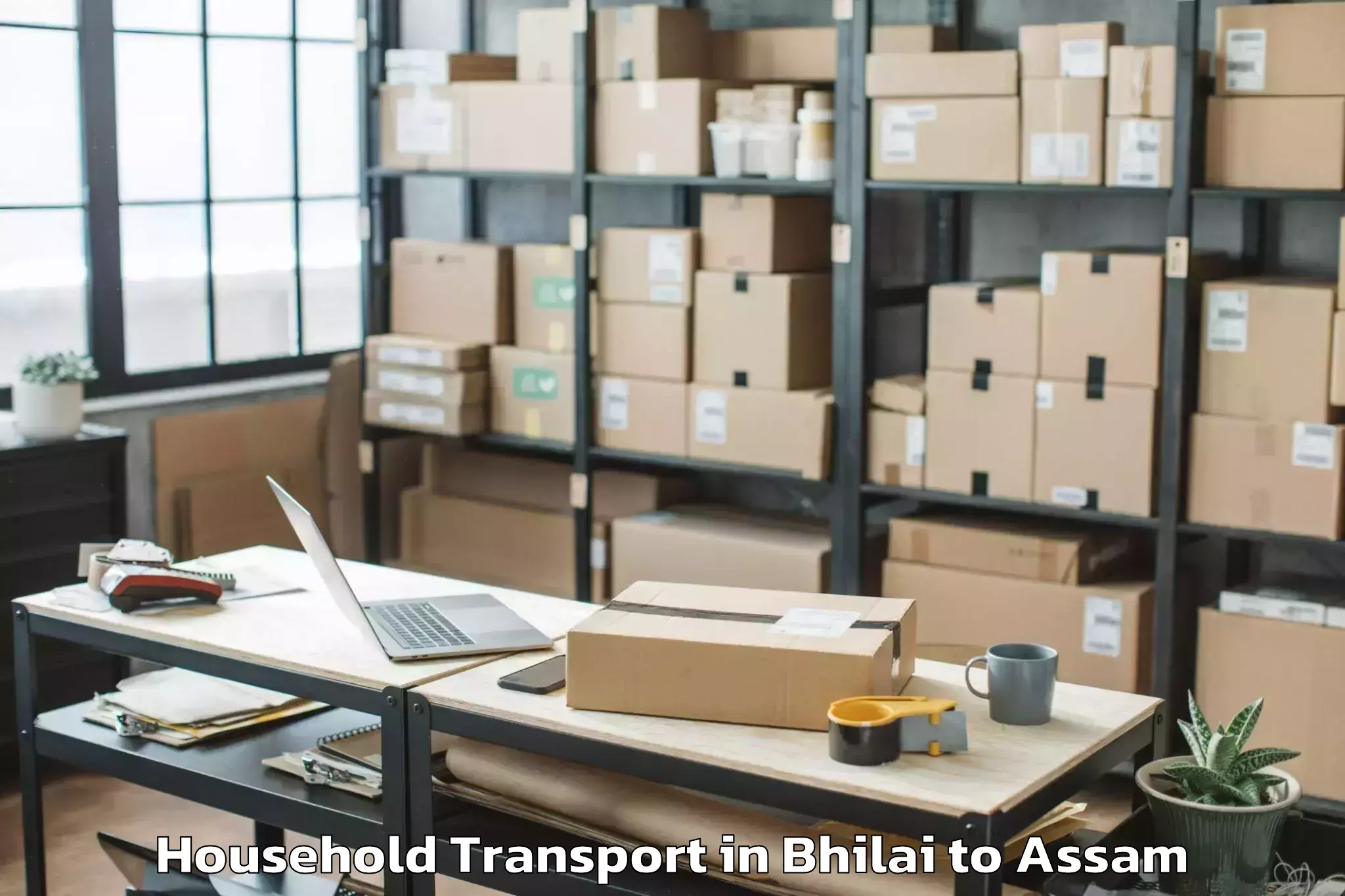 Book Bhilai to Amguri Household Transport Online